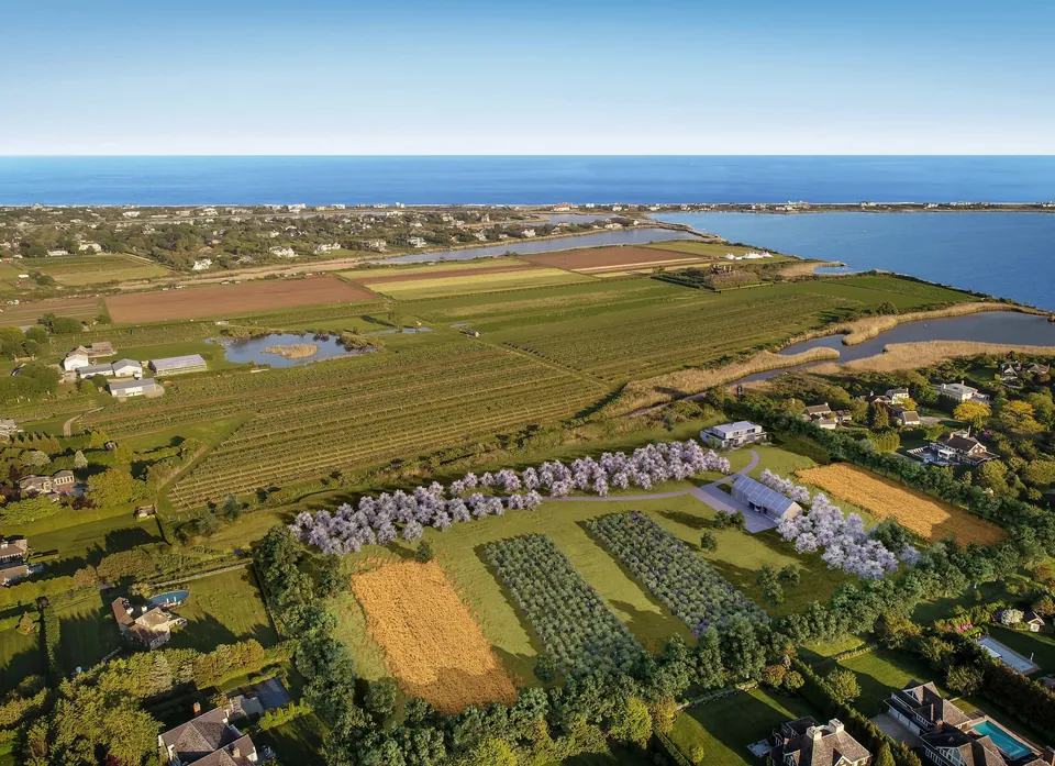 3D aerial rendering of Wheaton Way farmland and waterfront, Water Mill, NY